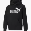 Puma Hoodie -Sportbekleidung 2015664 H1