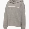 Champion Hoodie 2 Champion Hoodie -Sportbekleidung 2018524 H1