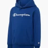 Champion Hoodie -Sportbekleidung 2085822 H1