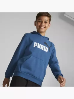 Puma Hoodie -Sportbekleidung 2088022 H5