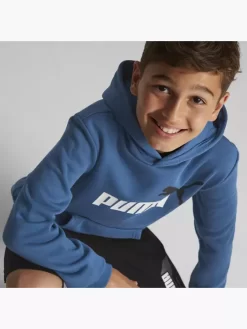 Puma Hoodie -Sportbekleidung 2088022 H6