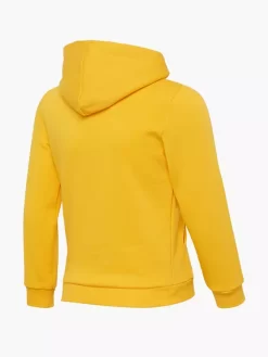 Puma Hoodie -Sportbekleidung 2088025 H2