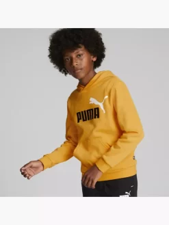 Puma Hoodie -Sportbekleidung 2088025 H5