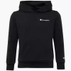 Champion Sweatshirt -Sportbekleidung 2180424 H1
