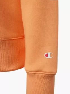 Champion Hoodie -Sportbekleidung 2180655 H3