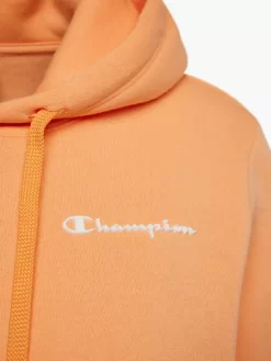 Champion Hoodie -Sportbekleidung 2180655 H4