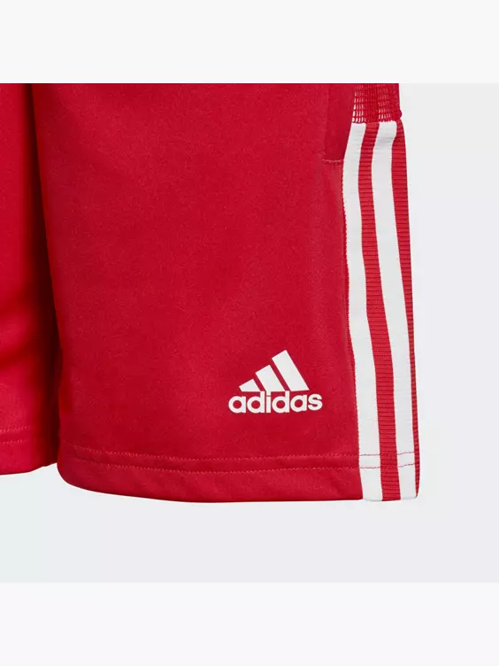 Adidas Ajax Tiro Trainingsshorts 5 Adidas Ajax Tiro Trainingsshorts – Bild 3