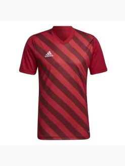 Adidas Entrada 22 Graphic Trikot