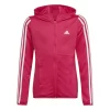 Adidas Adidas Designed To Move 3-Stripes Kapuzenjacke -Sportbekleidung 8012 HM4485 P