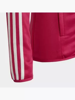 Adidas Adidas Designed To Move 3-Stripes Kapuzenjacke -Sportbekleidung 8012 HM4485 P2