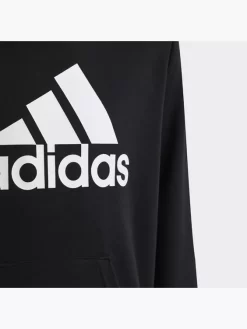 Adidas Big Logo Essentials Cotton Hoodie -Sportbekleidung 8012 HR6380 P1