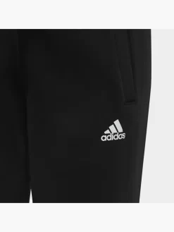 Adidas Essentials Big Logo Trainingsanzug -Sportbekleidung 8012 IC5686 P1