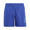 Adidas Logo CLX Badeshorts -Sportbekleidung 8012 IC7696 P