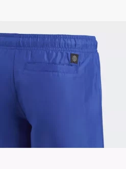 Adidas Logo CLX Badeshorts -Sportbekleidung 8012 IC7696 P1